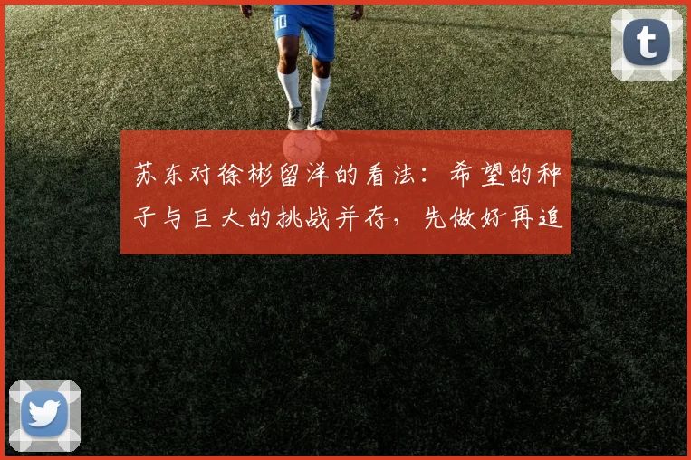 苏东对徐彬留洋的看法：希望的种子与巨大的挑战并存，先做好再追求完美