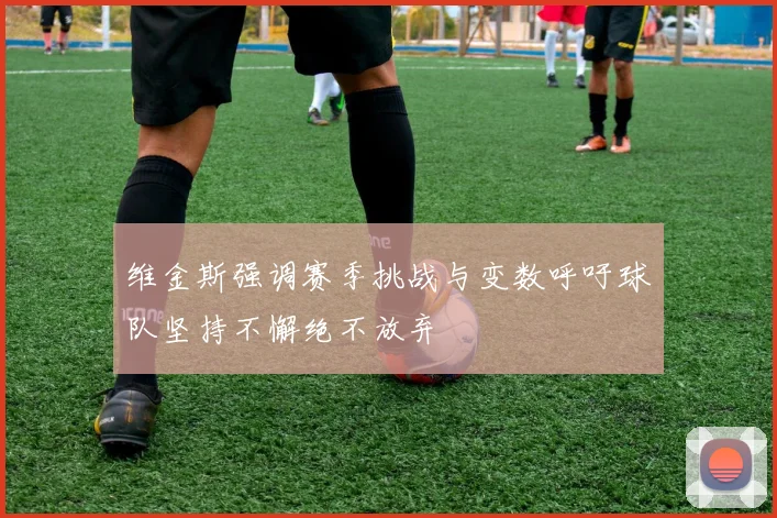 维金斯强调赛季挑战与变数呼吁球队坚持不懈绝不放弃