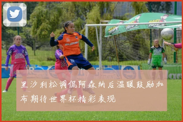 里沙利松调侃阿森纳后温暖鼓励加布期待世界杯精彩表现