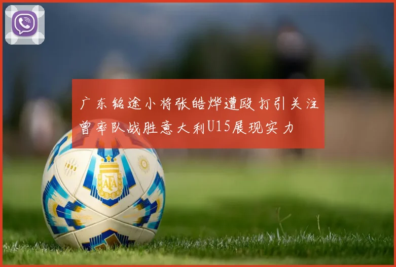 广东铭途小将张皓烨遭殴打引关注曾率队战胜意大利U15展现实力