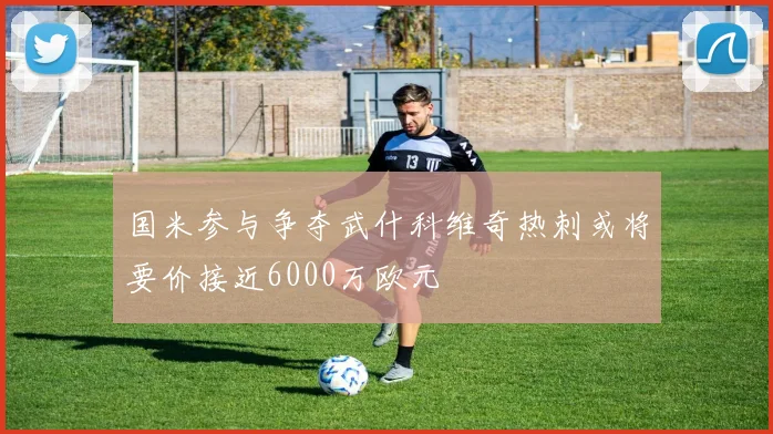 国米参与争夺武什科维奇热刺或将要价接近6000万欧元