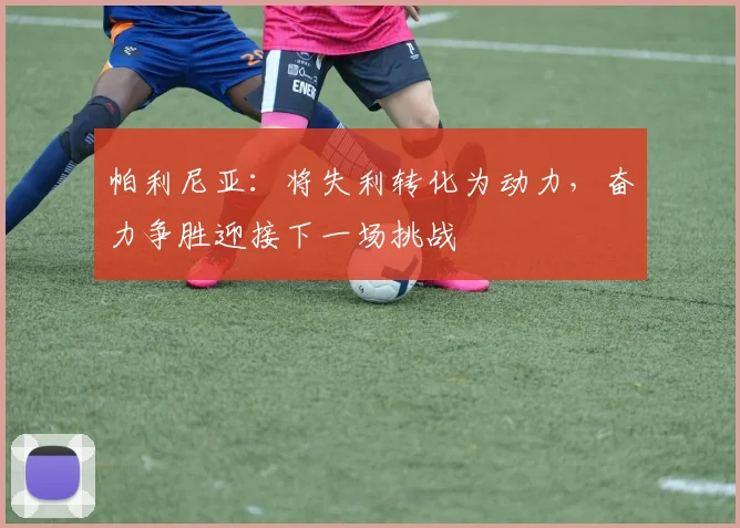 帕利尼亚：将失利转化为动力，奋力争胜迎接下一场挑战