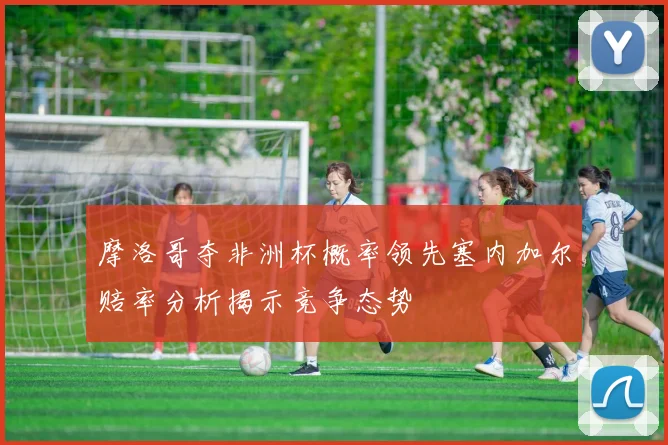 摩洛哥夺非洲杯概率领先塞内加尔赔率分析揭示竞争态势